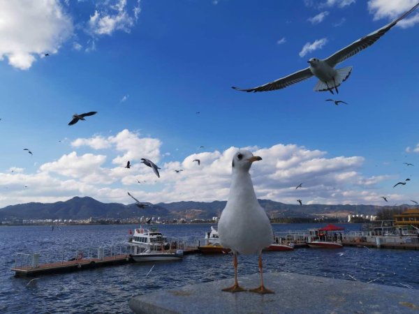 安全炒股配资门户 财大气粗、专业“实用”，这些“第四代”大学正崛起